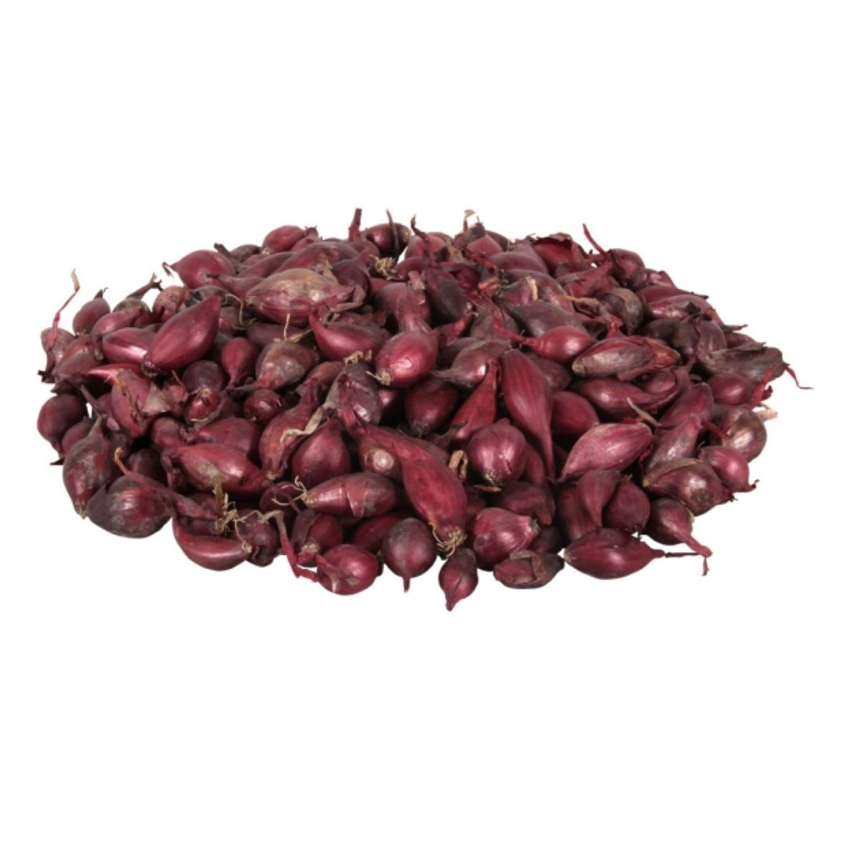 Cibule sazečka Romy - Allium cepa - cibulky - 250 g