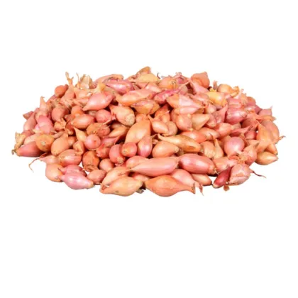 Cibule sazečka Rosanna - Allium cepa - cibulky - 500 g