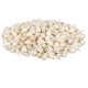 Cibule sazečka Snowball - Allium cepa - cibulky - 500 g