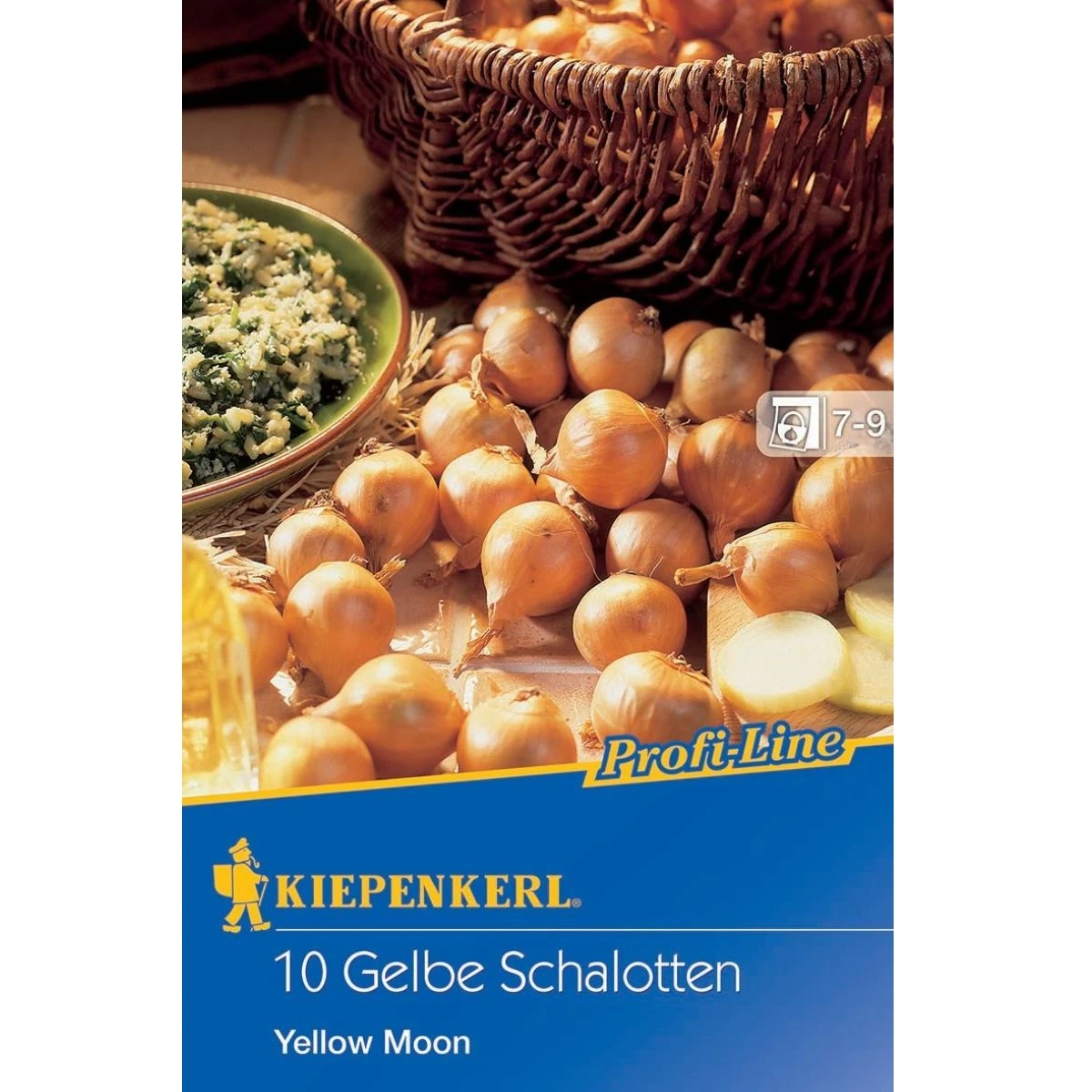 Cibule šalotka Yellow Moon - Allium cepa - cibulky - 10 ks