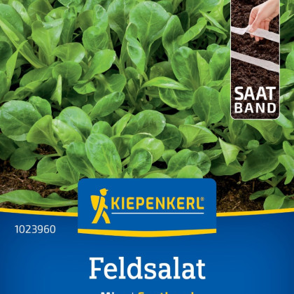 Sałata Miro - taśma siewna - 1 szt.