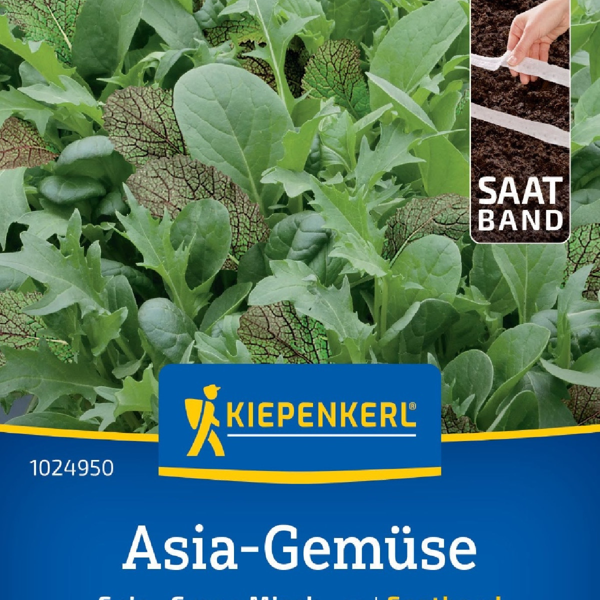 Mix asijských salátů - výsevný pásek - 1 ks