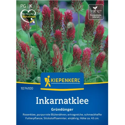 Zelené hnojení - Jetel inkarnát - semena - 75 g