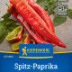 Paprika Thor F1 - Capsicum annuum - semena papriky - 7 ks