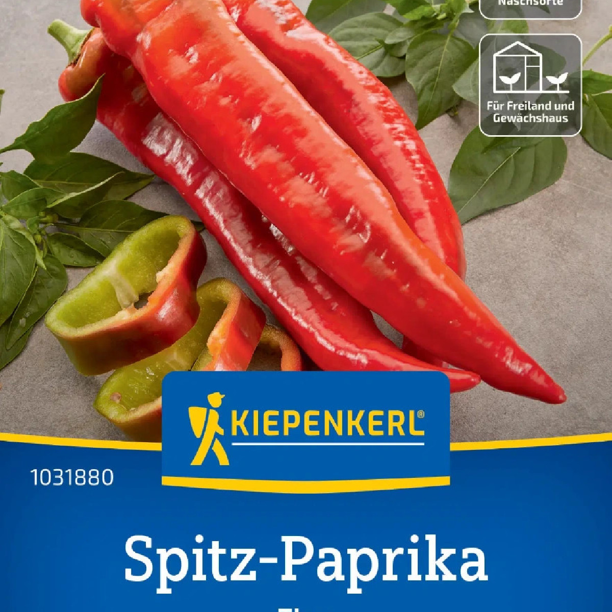 Paprika Thor F1 - Capsicum annuum - semena papriky - 7 ks
