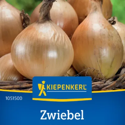 Cibule Exhibition - Allium cepa - semena cibule - 100 ks