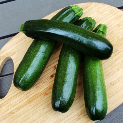 Cuketa Tarmino F1 - Cucurbita pepo - semena cukety - 6 ks