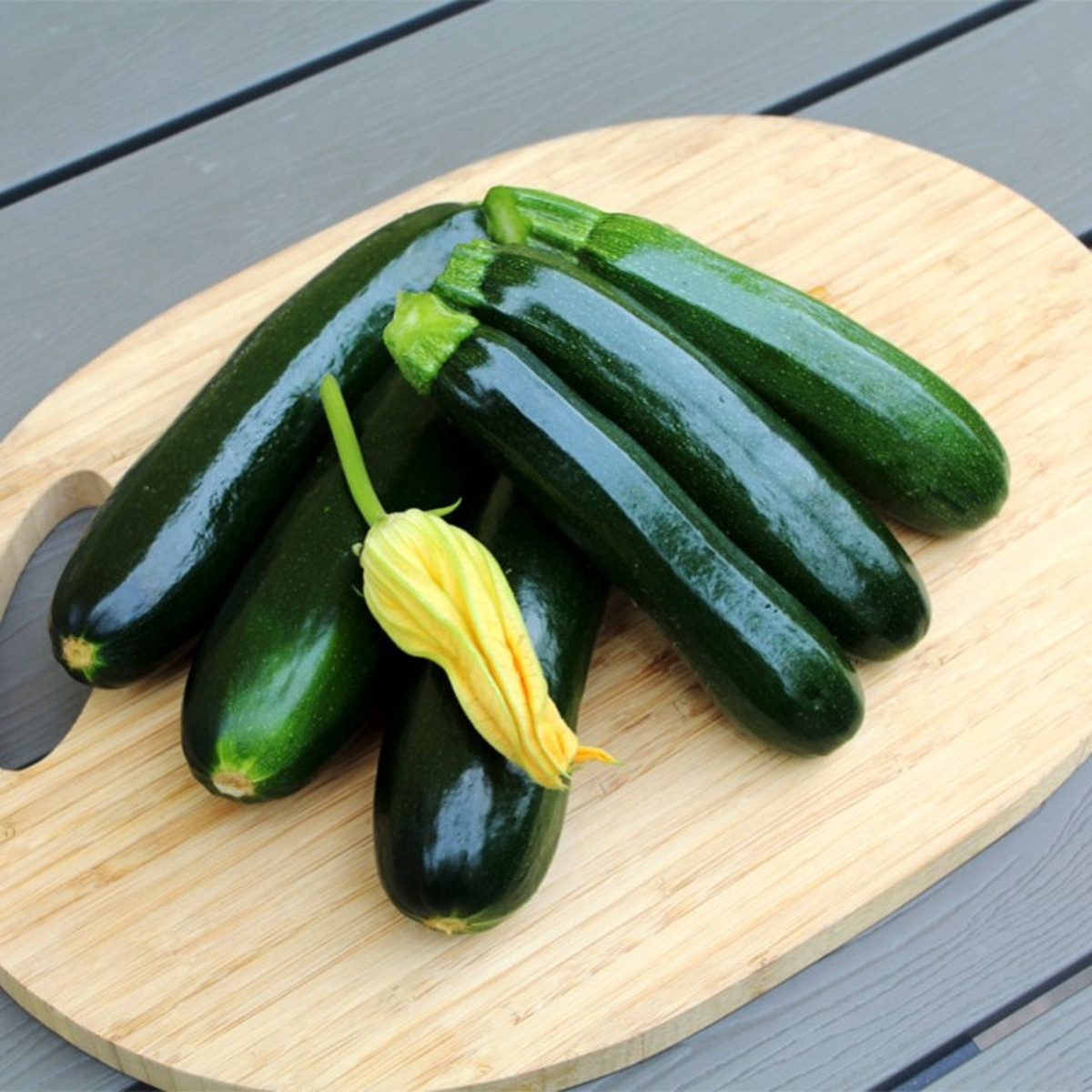 Cuketa Sandokan F1 - Cucurbita pepo - semena cukety - 8 ks