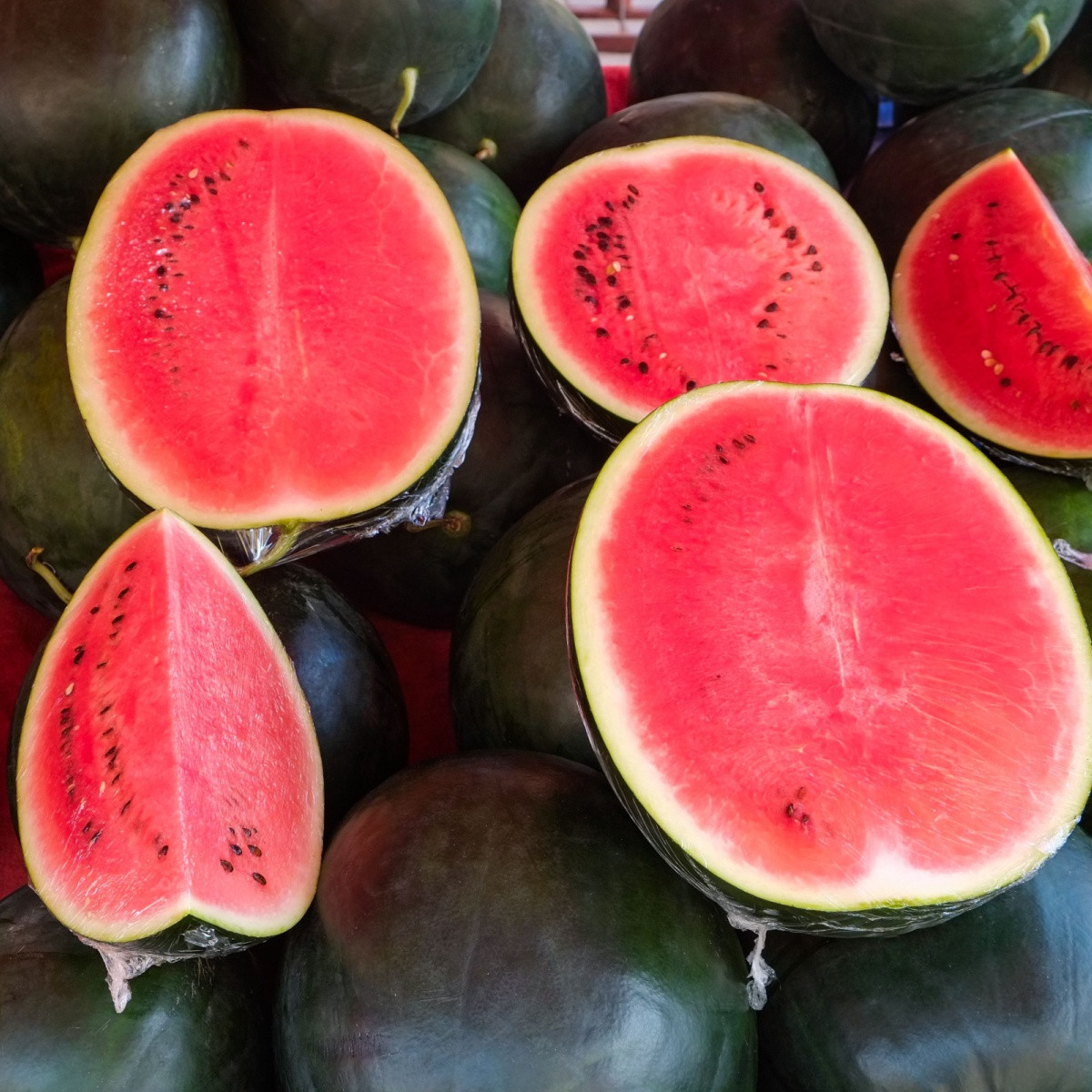 Meloun vodní Sugar baby - Citrullus lanatus - semena melounu - 7 ks