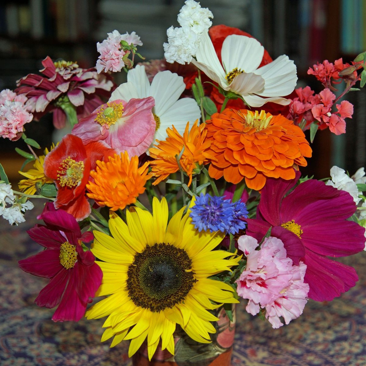 Pestrá kytice - semena Černý Biopro - letničková směs - 20 g