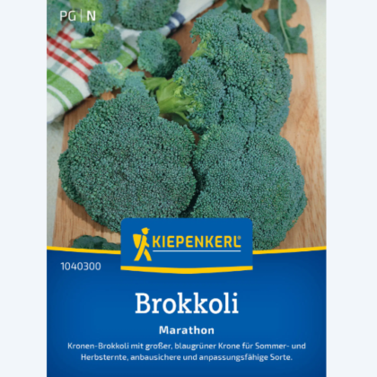 Brokolice Marathon F1 - Brassica oleracea - semena brokolice - 30 ks