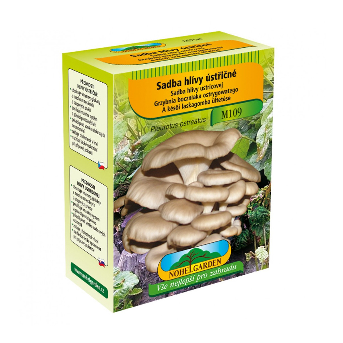 Hlíva ústřičná - Pleurotus ostreatus - sadba - 250 ml