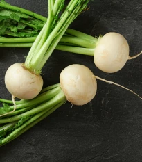 Rzodkiewka Acord - Raphanus sativus - nasiona rzodkiewki - 150 szt.