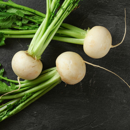 Rzodkiewka Acord - Raphanus sativus - nasiona rzodkiewki - 150 szt.