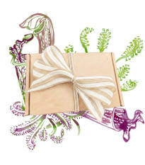 Dárkový balíček masožravek - sada semínek