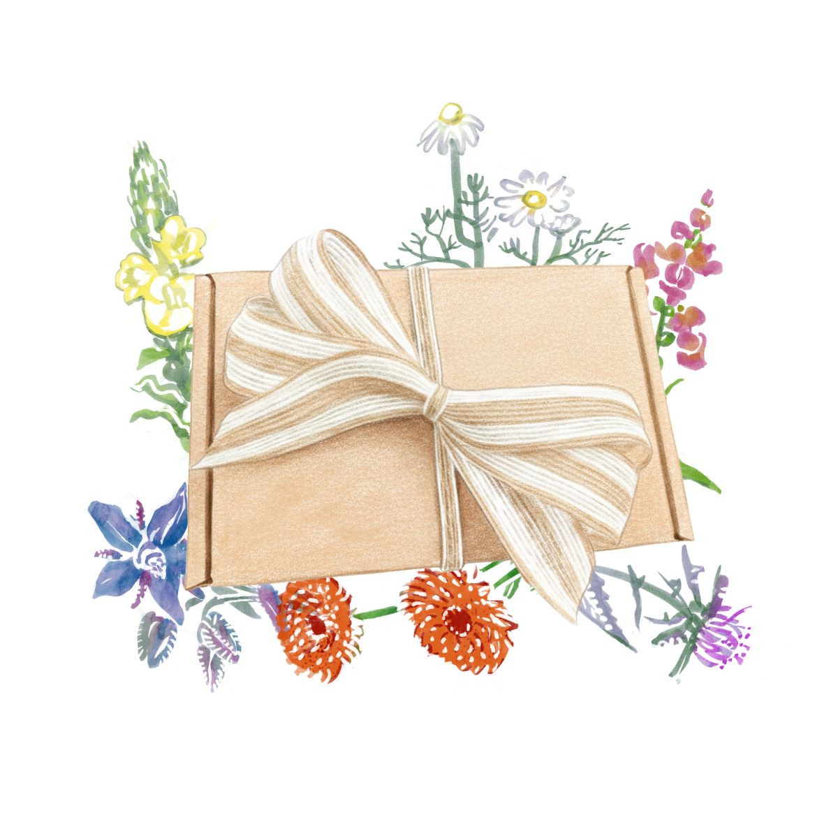 Dárkový balíček jedlých květů - sada semínek