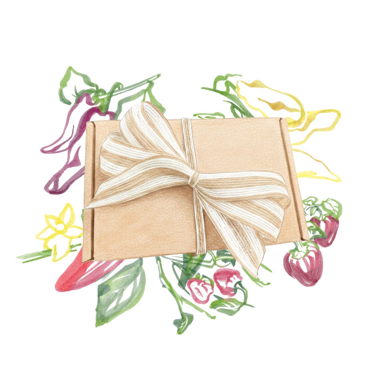 Dárkový balíček semen chilli - dárkové balení zdarma