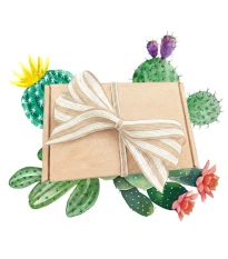 Dárkový balíček kaktusů - sada semínek