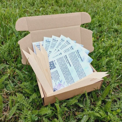 Dárkový balíček kaktusů - sada semínek