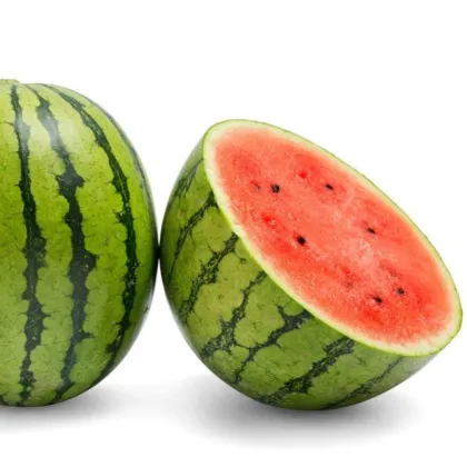 Meloun vodní Nanoor F1 - Citrullus lanatus - semena melounu - 6 ks