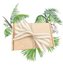 Dárkový balíček palem - sada semínek