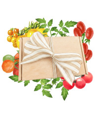 Dárkový balíček rajčat - sada semínek