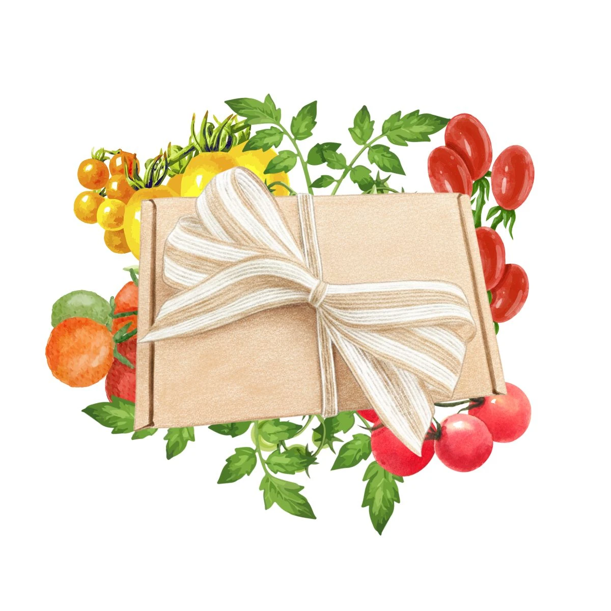 Dárkový balíček rajčat - sada semínek