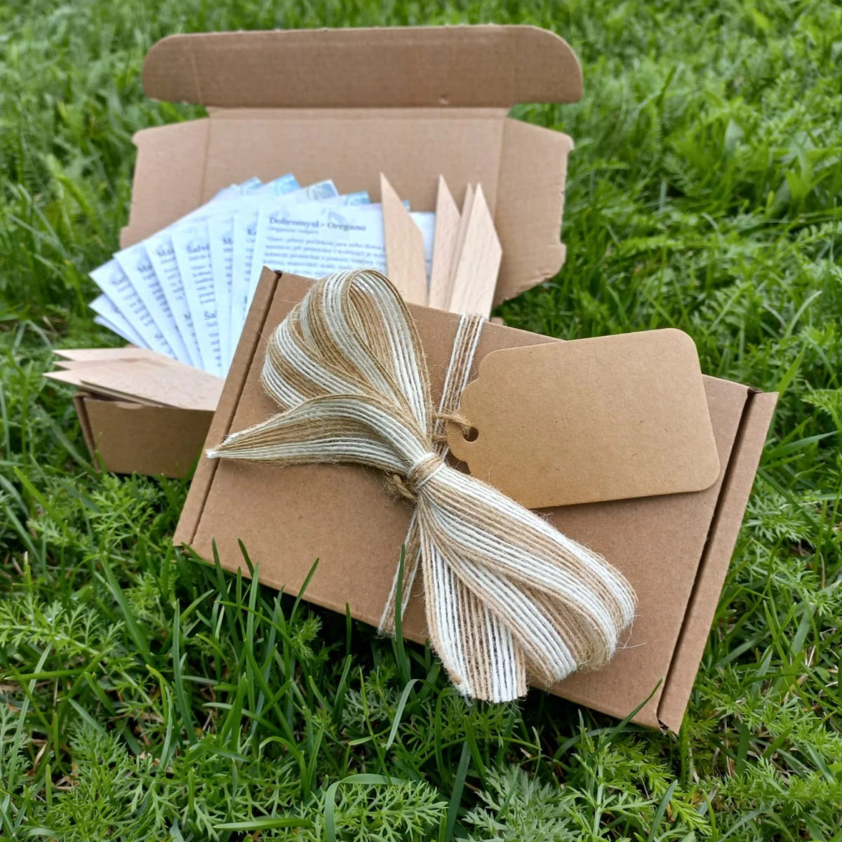 Dárkový balíček rajčat - sada semínek