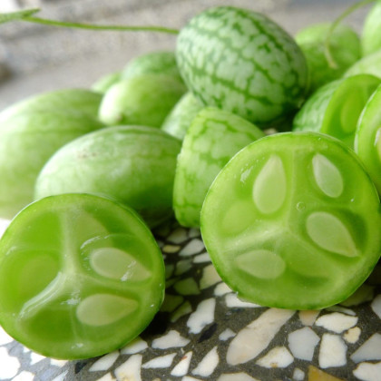 Mini ogórek meksykański - Melothria scabra - nasiona ogórka - 5 szt.