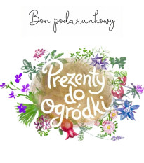 Bon podarunkowy o wartości 260 zł