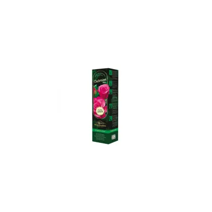 Róża wielkokwiatowa krzaczasta – Fragrant Criterion – Rosa – sadzonka róży z odkrytym korzeniem – 1 szt.