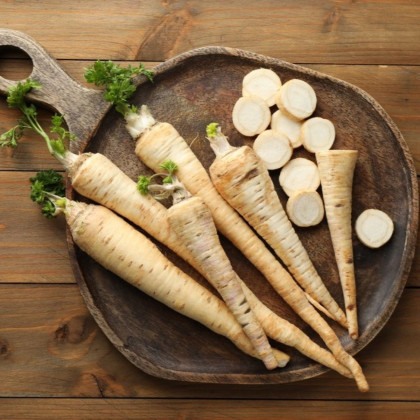 Pietruszka korzeniowa ogrodowa Efez – nasiona warzyw korzeniowych