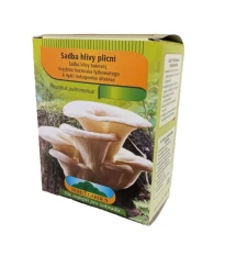 Boczniak płucny - Pleurotus pulmonarius - sadzonka - 250 ml