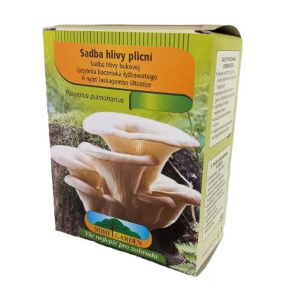 Boczniak płucny - Pleurotus pulmonarius - sadzonka - 250 ml