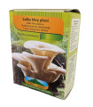 Boczniak płucny - Pleurotus pulmonarius - sadzonka - 250 ml