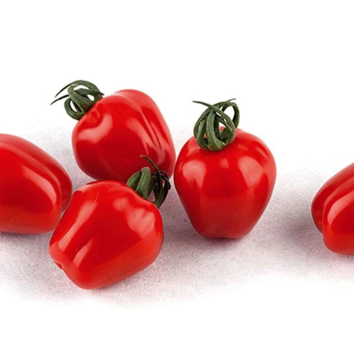 Pomidor gruntowy Appleberry F1 PhR czerwony – Solanum lycopersicum – nasiona pomidora – 7 szt.