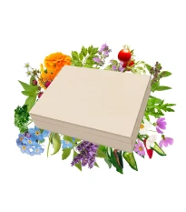 Najlepsze nasiona w drewnianym pudełku –zestaw prezentowy