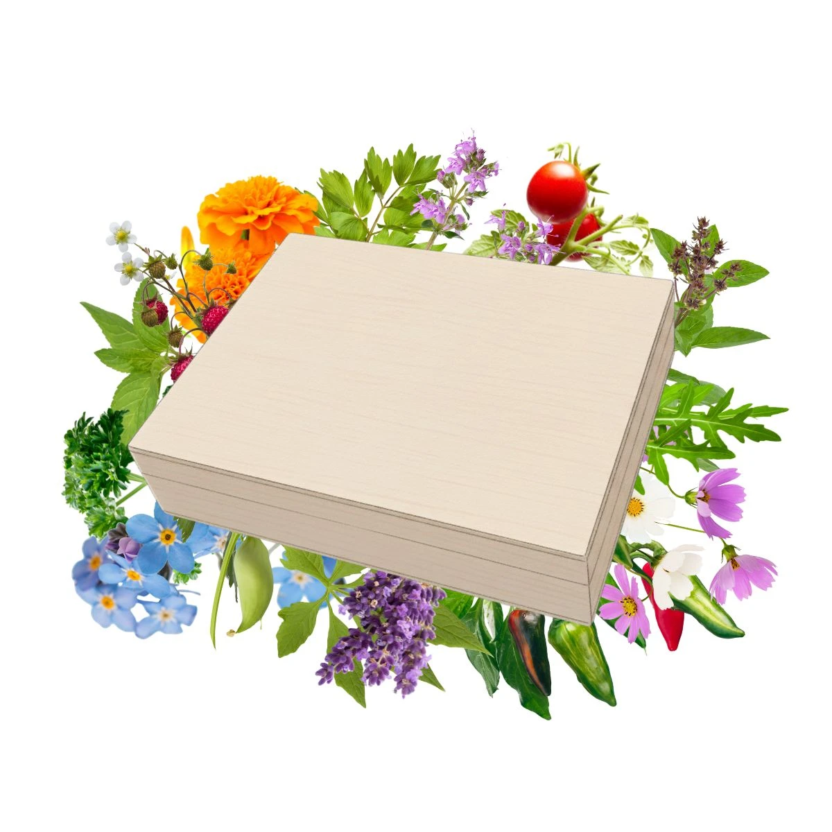 Najlepsze nasiona w drewnianym pudełku –zestaw prezentowy