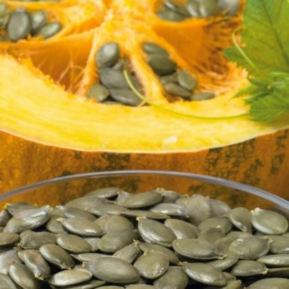 Dynia oleista Trumf F1 - Cucurbita pepo - nasiona dyni - 12 szt.