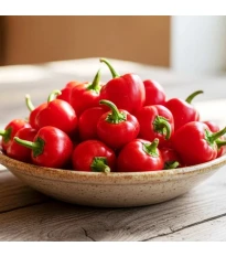 BIO papryka Red Marble - Capsicum annuum - bio nasiona papryki - 6 szt.