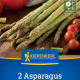 Szparagi zielone Boonlim - Asparagus officinalis - sadzonki szparagów z gołym korzeniem - 2 szt.