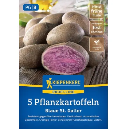 Sadbové ziemniaki Blaue St. Galler - Solanum tuberosum - ziemniaki - 5 szt.