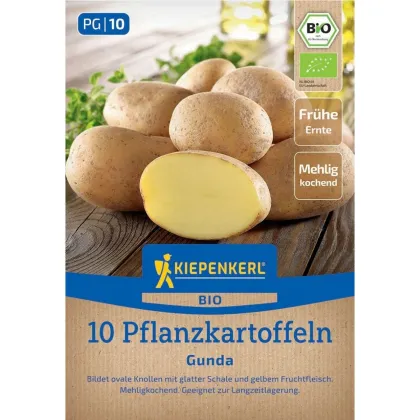 BIO sadzeniaki ziemniaków Gunda - Solanum tuberosum - bio ziemniaki - 10 szt.