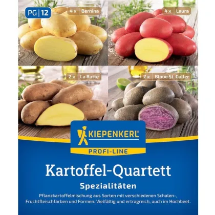 Ziemniaki sadzeniaki - 4 rodzaje - Solanum tuberosum - 12 szt.