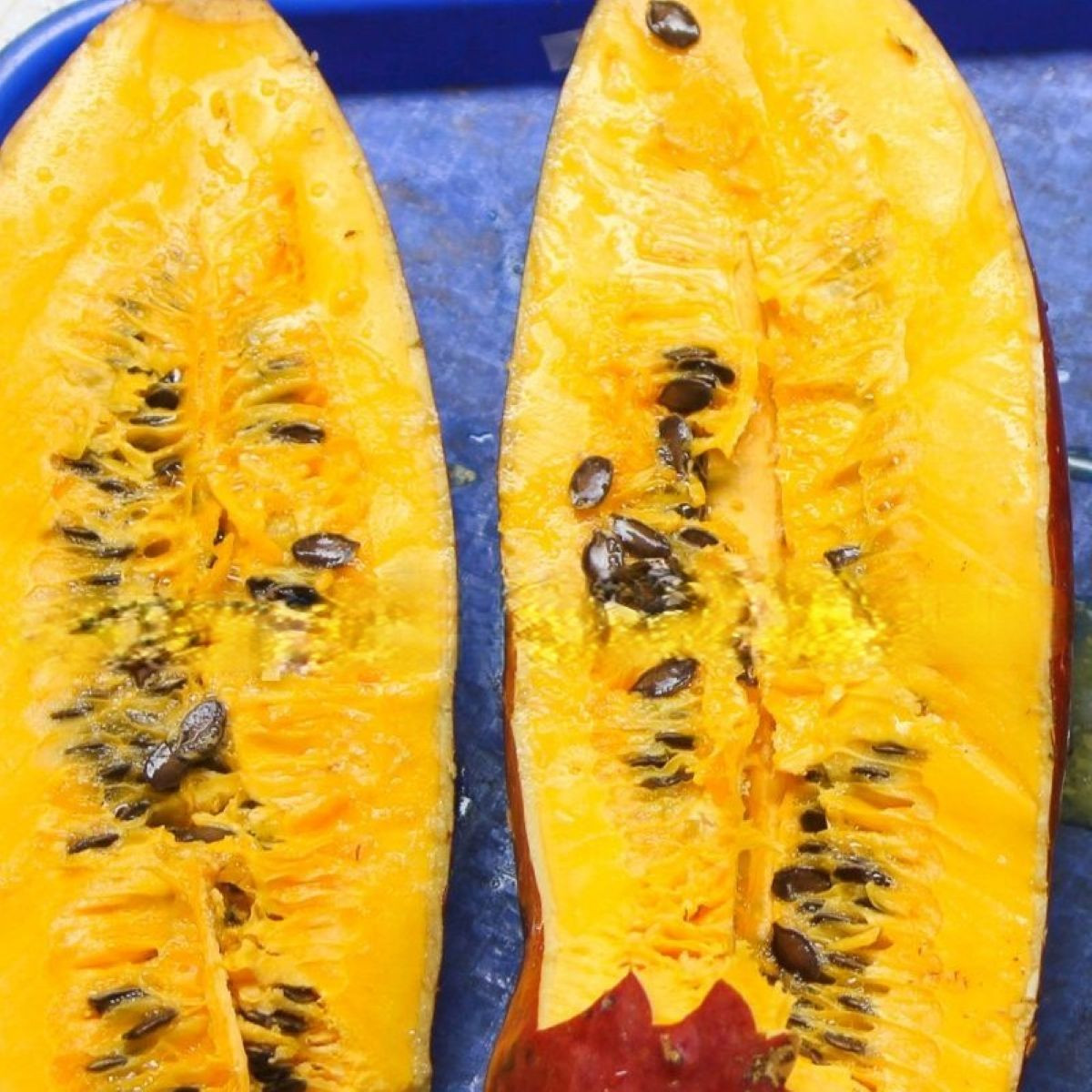 Ogórek muszkatołowy - Sicana odorifera - nasiona ogórka - 6 szt.