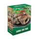 Sadba Shii take - Houževnatec jadalny - Lentinula edodes - sadba - 250 ml