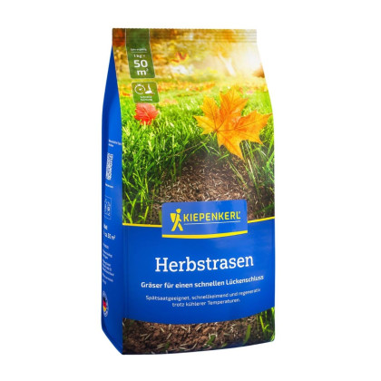 Trawnik do dosiewania jesiennego - nasiona Kiepenkerl - mieszanka - 1 kg