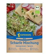 BIO Ostra mieszanka - bio nasiona do kiełkowania - 40 g