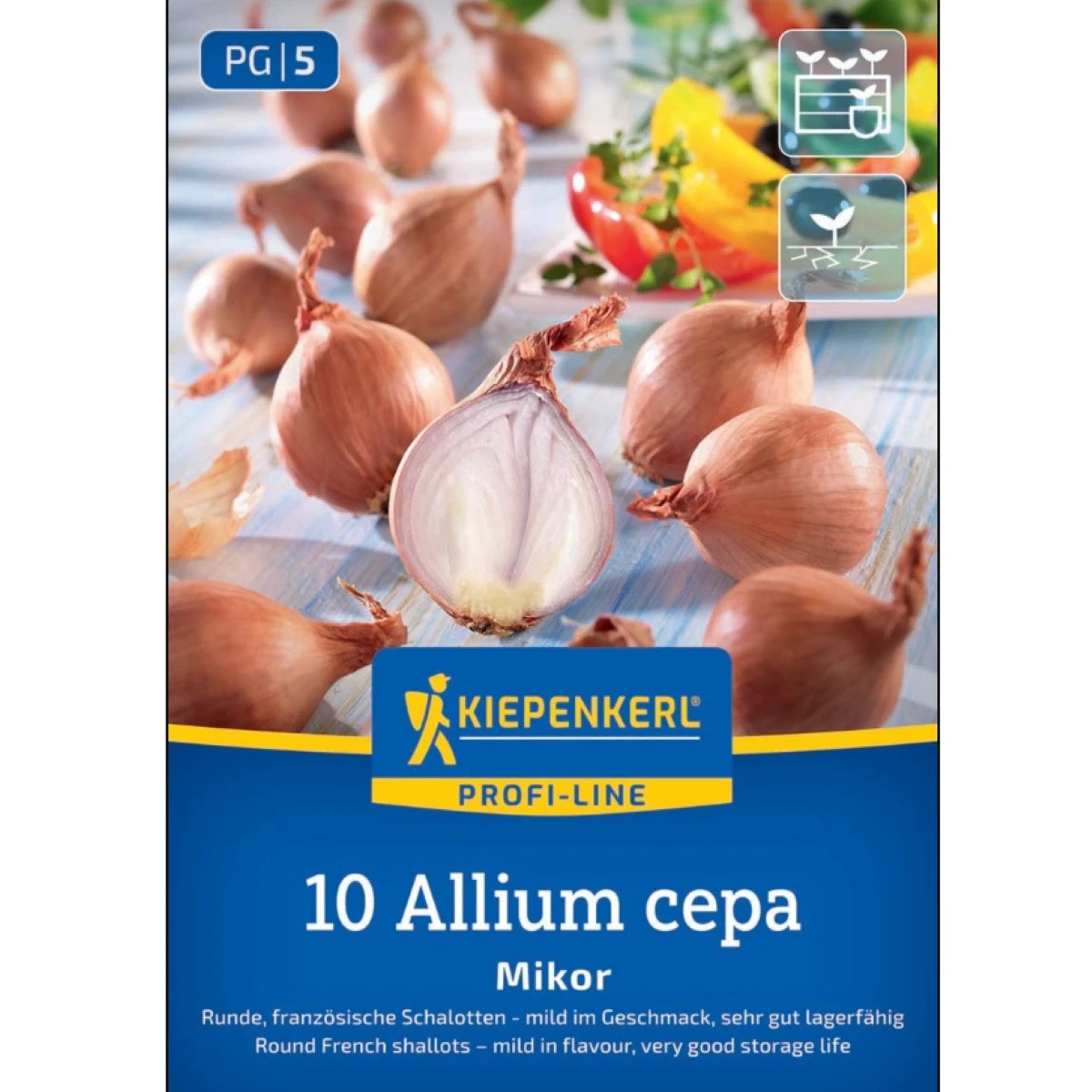 Cebula szalotka Mikor - Allium cepa - cebulki - 10 szt.