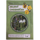 Zielony chodniczek - nasiona Planta Naturalis - mieszanka - 10 g